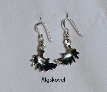 Moose Antler Earrings